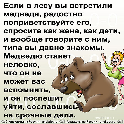 Анекдот иди сюда медведь. Анекдот про медведя. Анекдоты про медведей смешные. Анекдот про медведя в лесу. Анекдот про медвежонка.