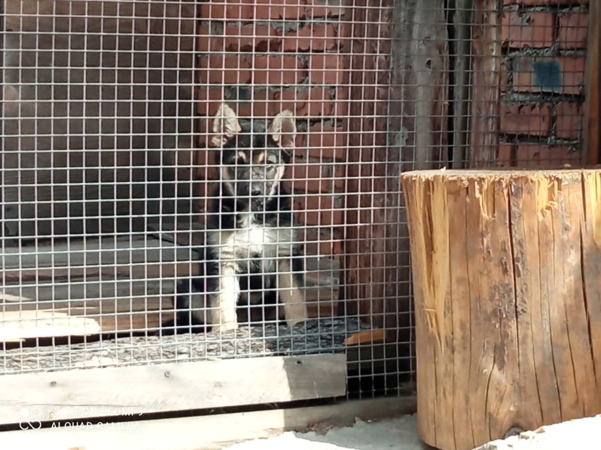 А такой она стала через полмесяца жизни в семье