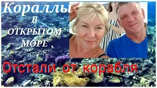 Заплыли в ОТКРЫТОЕ море.ОТСТАЛИ от корабля.А вам слабо?