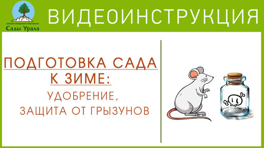 Подготовка сада к зиме: удобрение, защита от грызунов