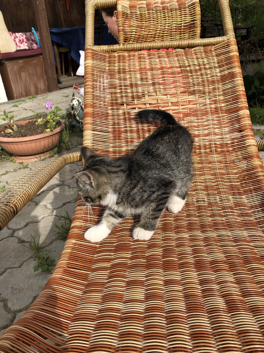 3,5 месяца Васеньке.