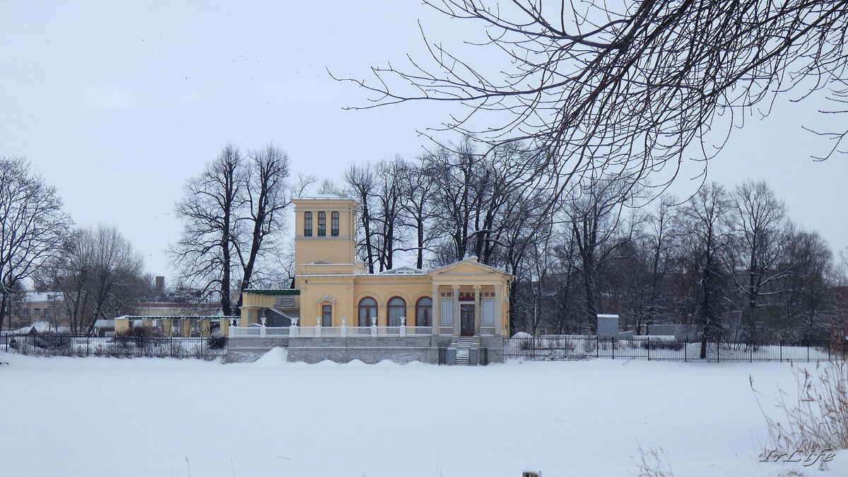 Зимний Петергоф. Колонистский парк. Ольгин пруд. | IrLife_Санкт-Петербург |  Дзен