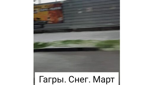 Злая безногая гала дзен Злая безногая гала дзен