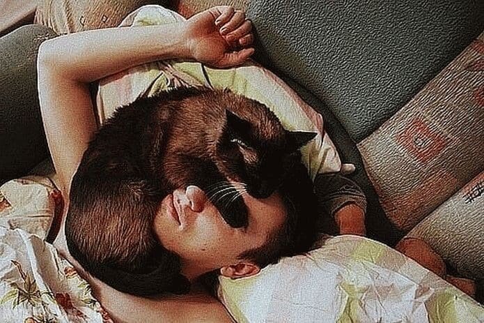 Кошка лежит на человеке и не хочет сходить – забирает негативную энергию. Не прогоняйте животное – оно само уйдет, когда почувствует, что сеанс завершен. Обратите особое внимание на ту часть тела, на которой лежит животное, – с ней есть какие-то проблемы.