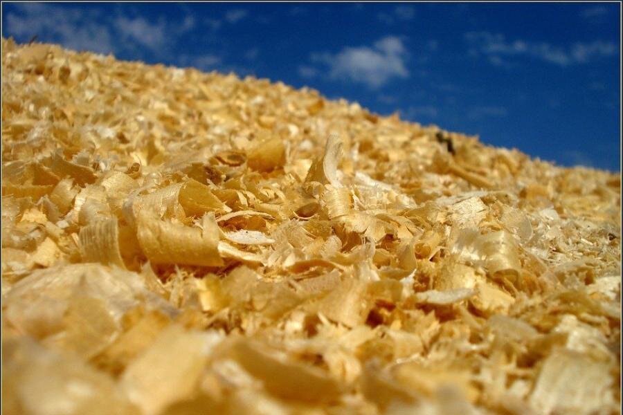 ФОТО из открытых источников