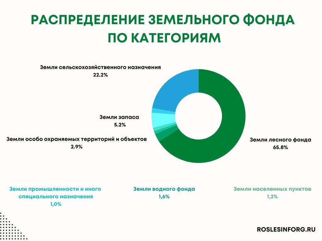 Доступным языком про категории земель: почему в лесу нельзя построить  многоэтажку | Рослесинфорг | Дзен