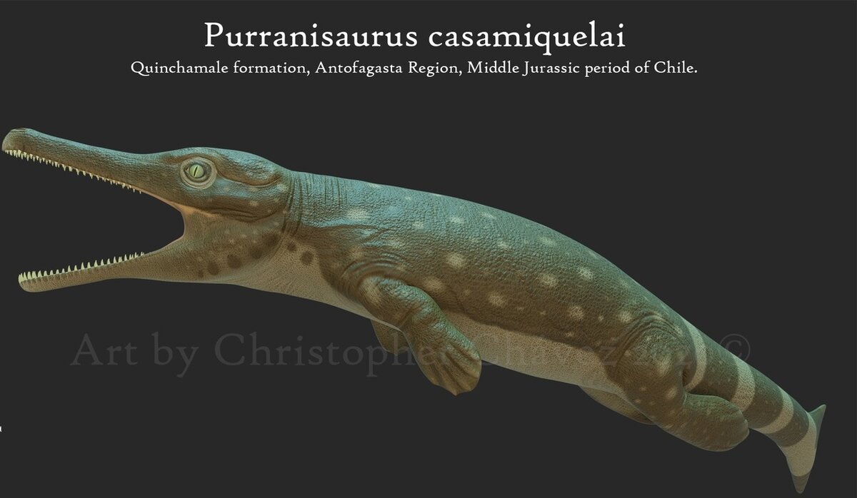 Метриоринхиды (Metriorhynchidae) – морские крокодилы с рыбьими хвостами