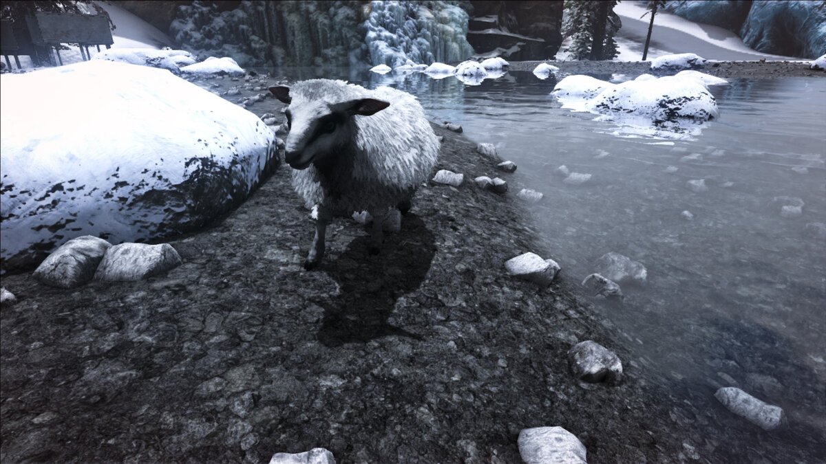 Кадр из ARK: Survival Evolved - Овис, овечка. Извини, малыш.