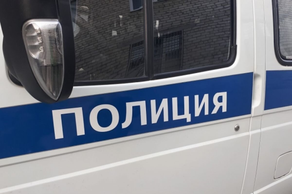    Под Тюменью полиция разыскивает двух пропавших ненецких девочек