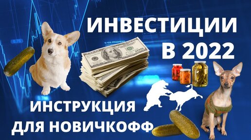 С чего начать инвестировать в 2022 году? Пошаговое руководство