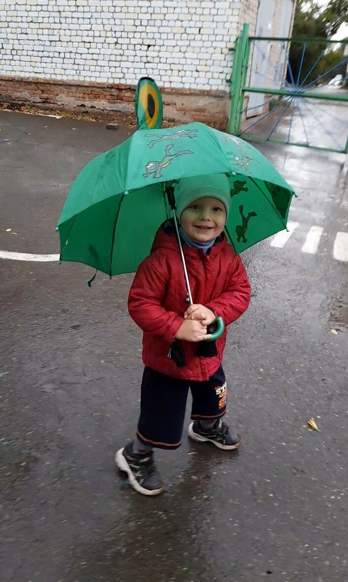 Скорее,  скорее  домой 