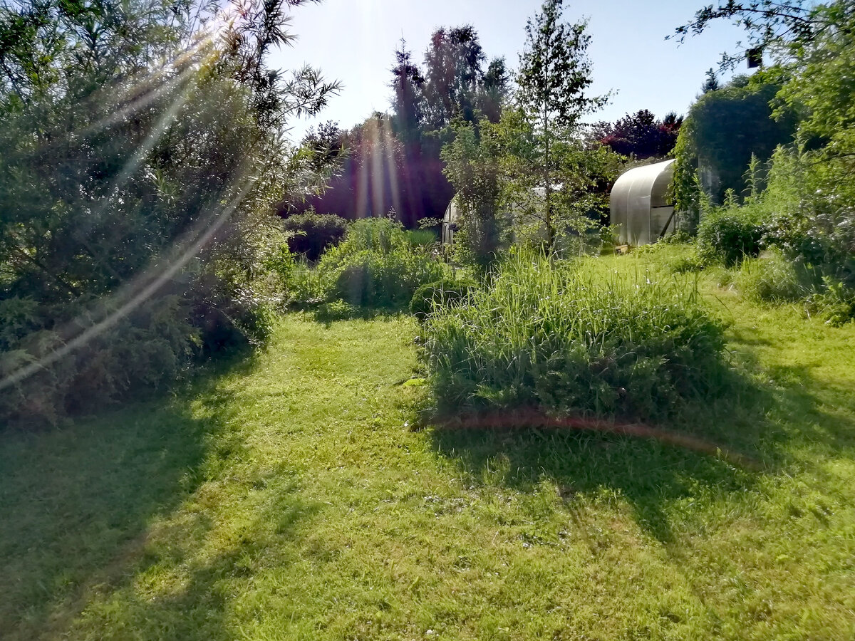 Фото автора. 