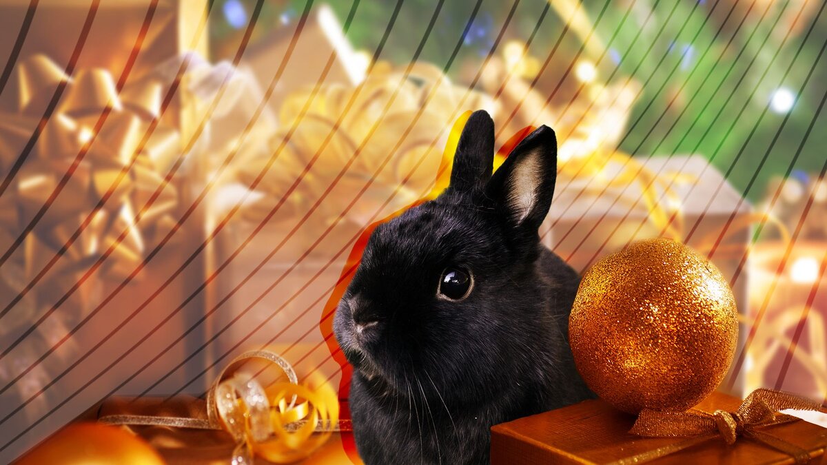        Источник: pxhere.com.