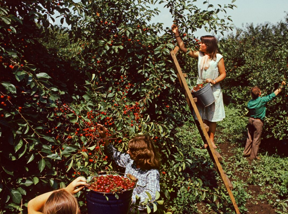 Фото С. Петрухина / РИА Новости