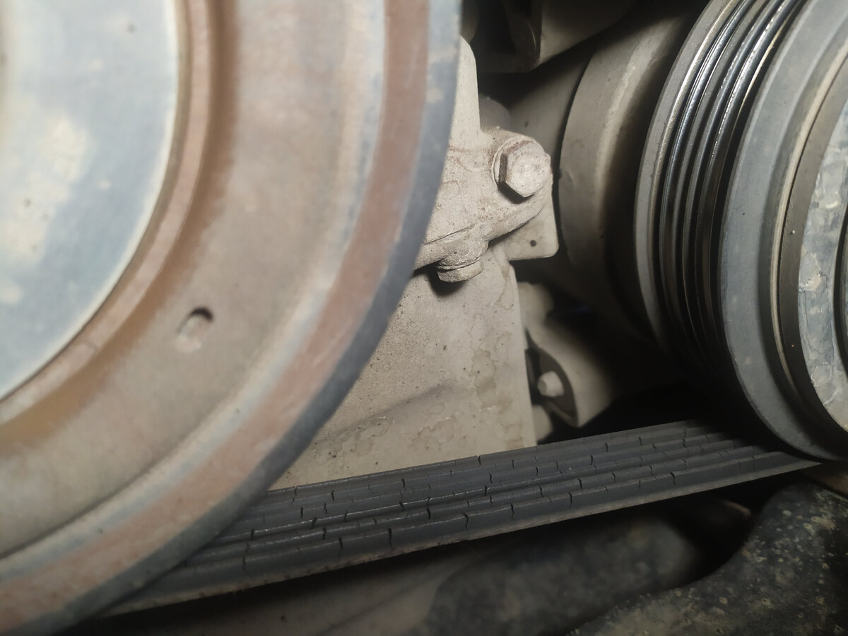 Вот так выглядит ремень у большинства клиентов