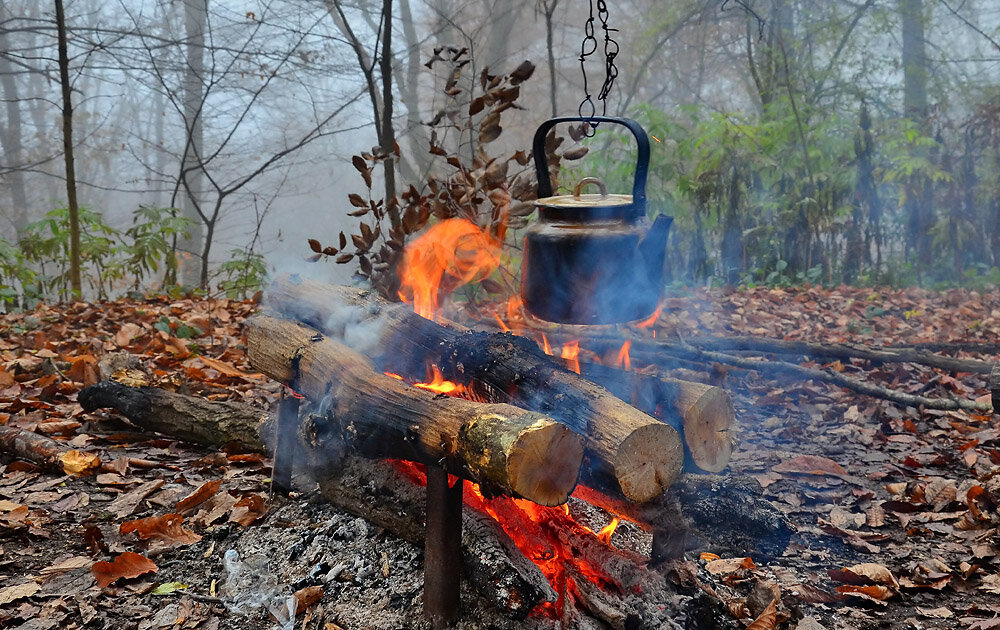 Шашлык в тайге