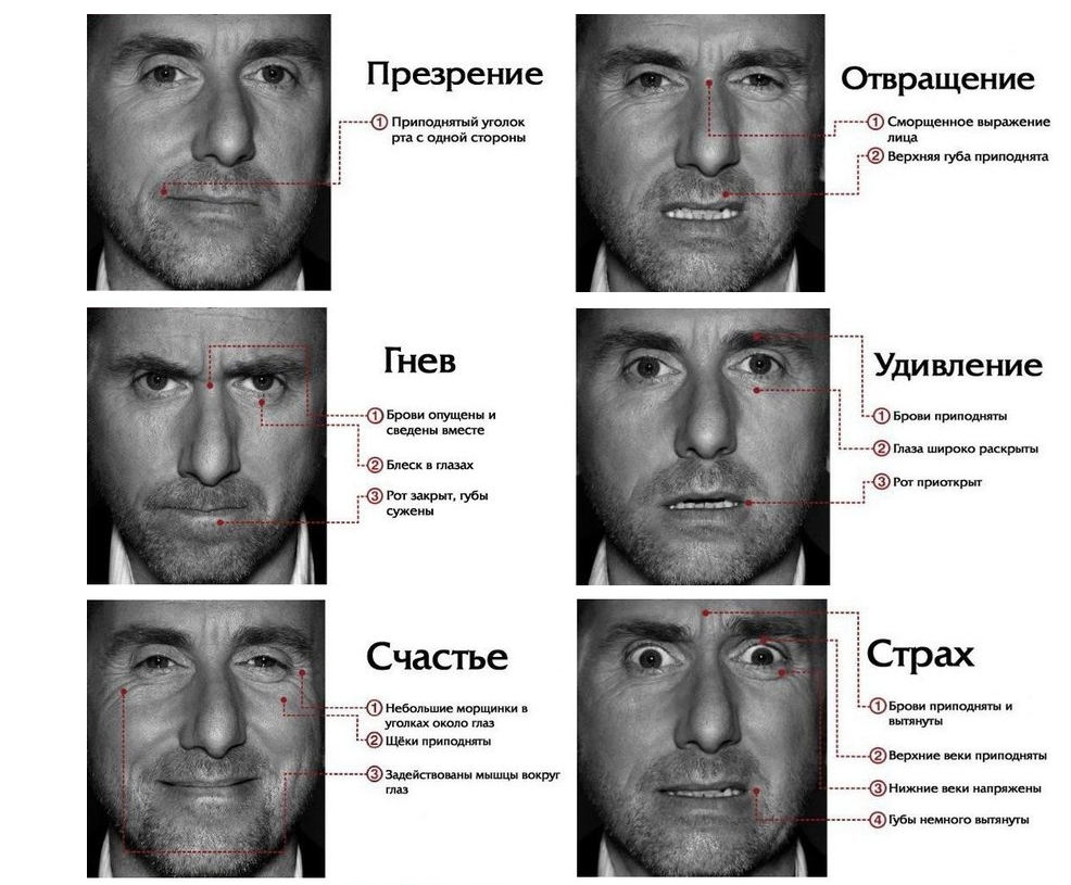 Пол Экман 6 эмоций. Пол Экман эмоции. Пол Экман базовые эмоции. Пол Экман микровыражения лица.