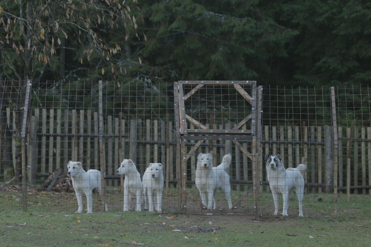 Кадр из "Сердца мира"