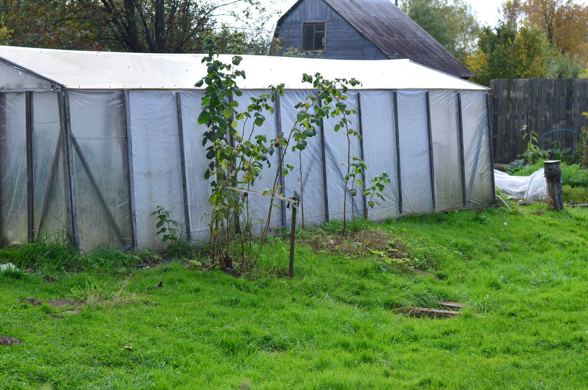 Наша старушка верой и правдой отслужила семь лет