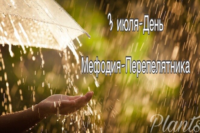 Начало месяца-хорошее время для предсказывания погоды. 