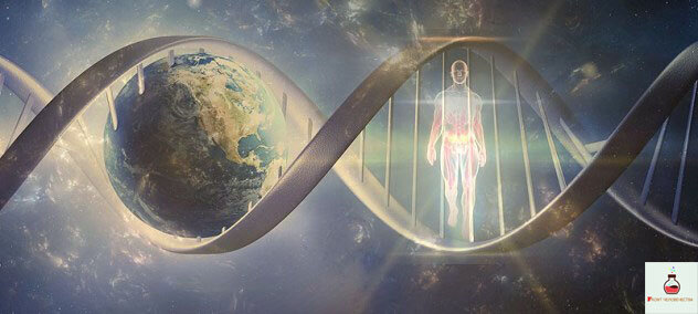 Изображение взято из открытых источников Google картинок.