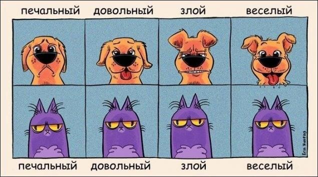 Довольный в значении "удовлетворенный")))
