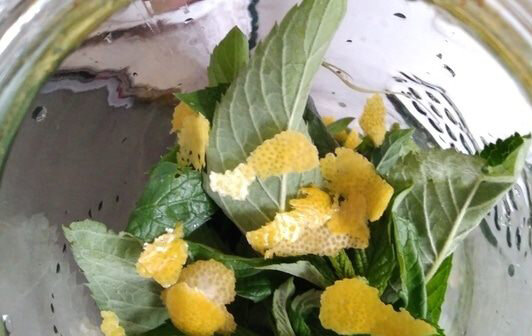 Мяту хорошо просушить, снять листики с веточек. Снять с лимона цедру (только желтый слой). Можно использовать цедру лайма. Поместить все в банку.