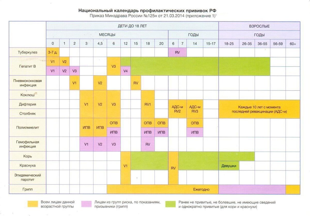 Национальный календарь прививок в России включает 12 управляемых инфекций