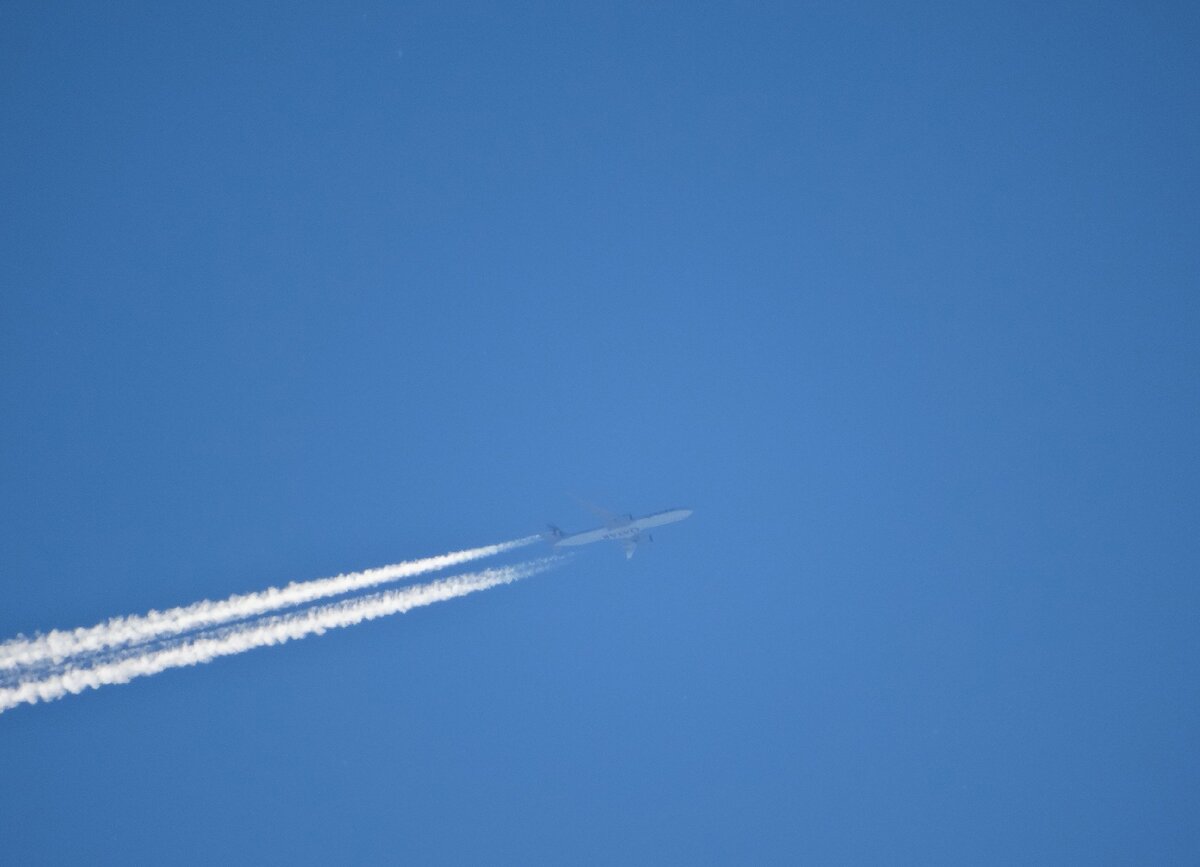 Борт Qatar Airways. Модель самолёта разобрать не могу. Он слишком высоко