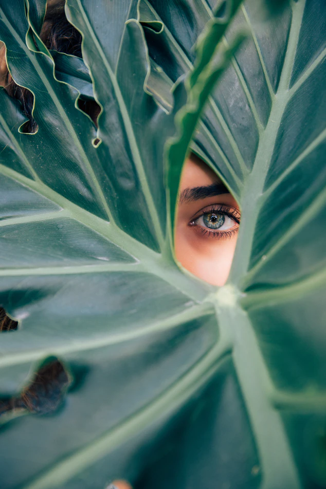 https://images.unsplash.com/photo-1501644898242-cfea317d7faf?ixlib=rb-1.2.1&ixid=eyJhcHBfaWQiOjEyMDd9&auto=format&fit=crop&w=634&q=80