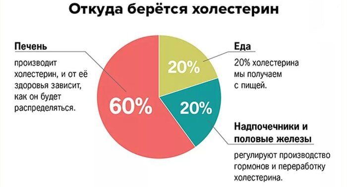 холестерин в крови