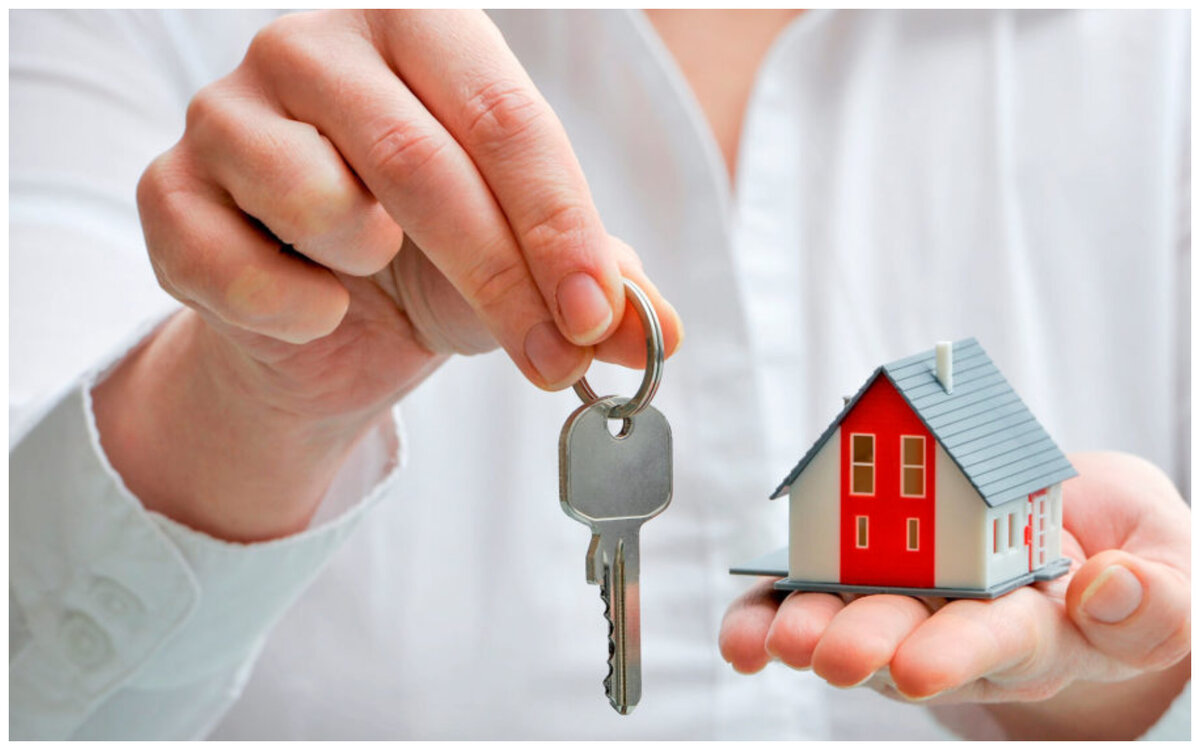 Картинка из открытых источников (Яндекс.картинки)