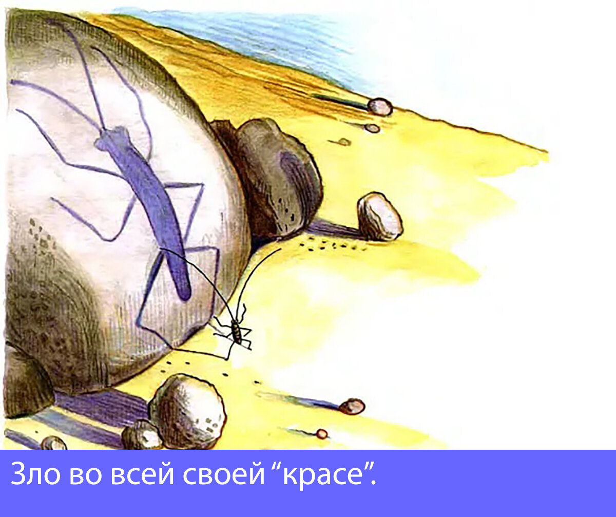 фото: интернет 