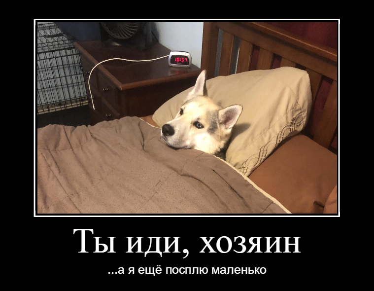 Демотиватор,созданный на сайте  demconstructor.ru 