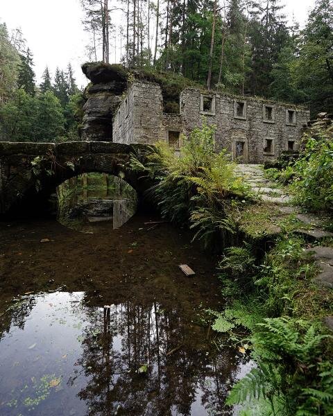 2. Сын убитого мельника.