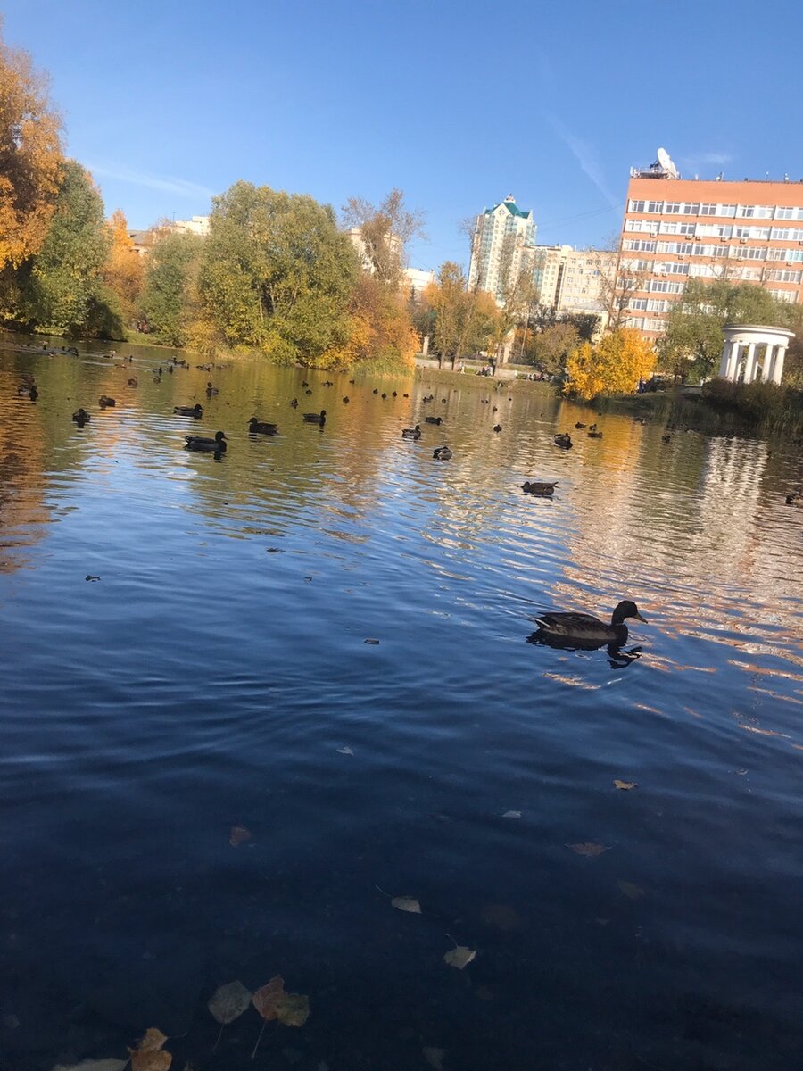Все то же место (Немного заваленное фото)