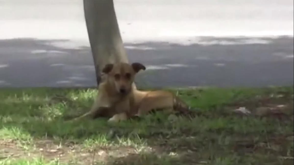 Источник:YouTube