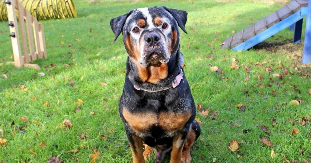 Источник: Youtube