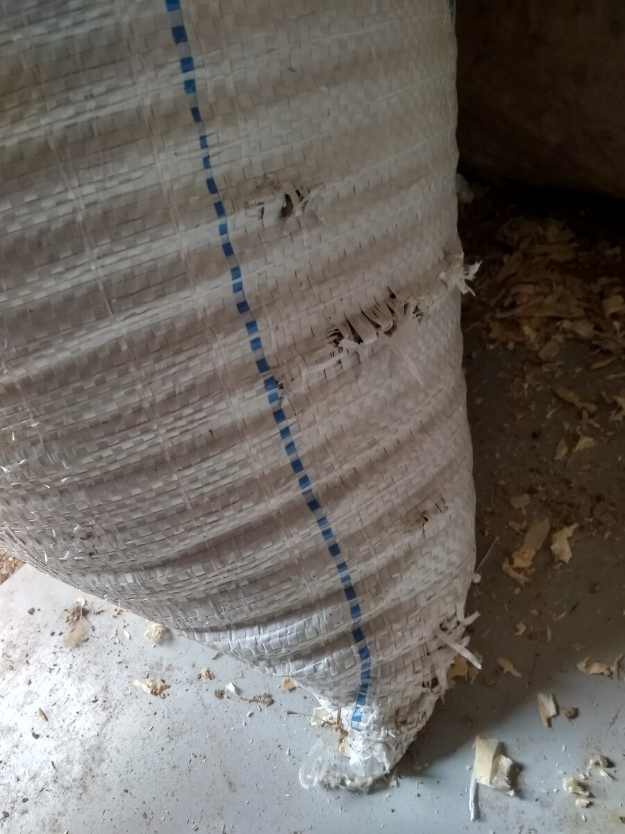 Следы грызунов видны на мешке.
