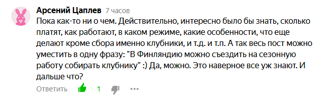 Скрин экрана отличного комментария к одной из моих статей (ссылку тоже приведу в конце).
