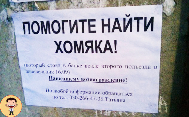 Источник: Яндекс картинки 