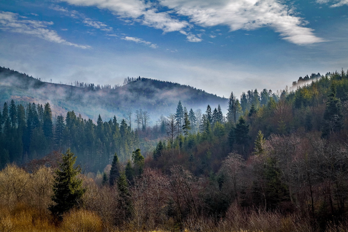Утро:   https://photoclub.by/images/ma...