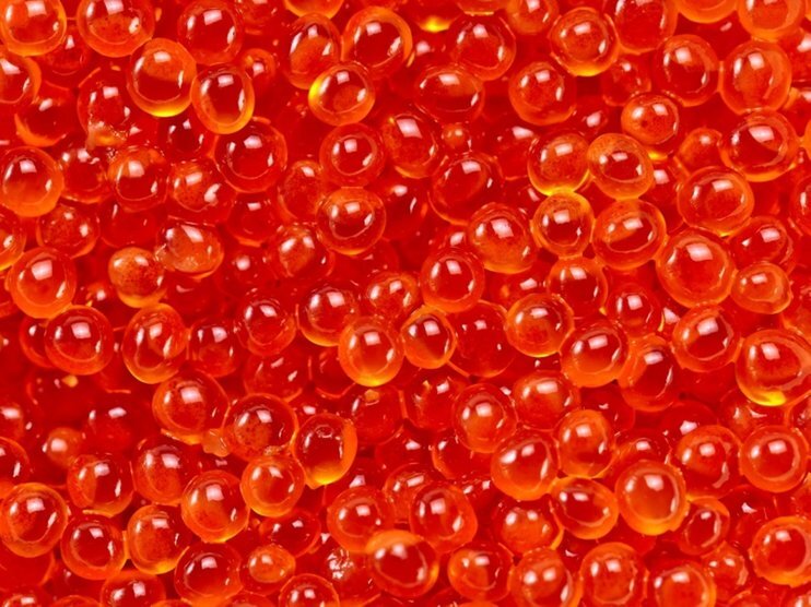  Фотография из интернета