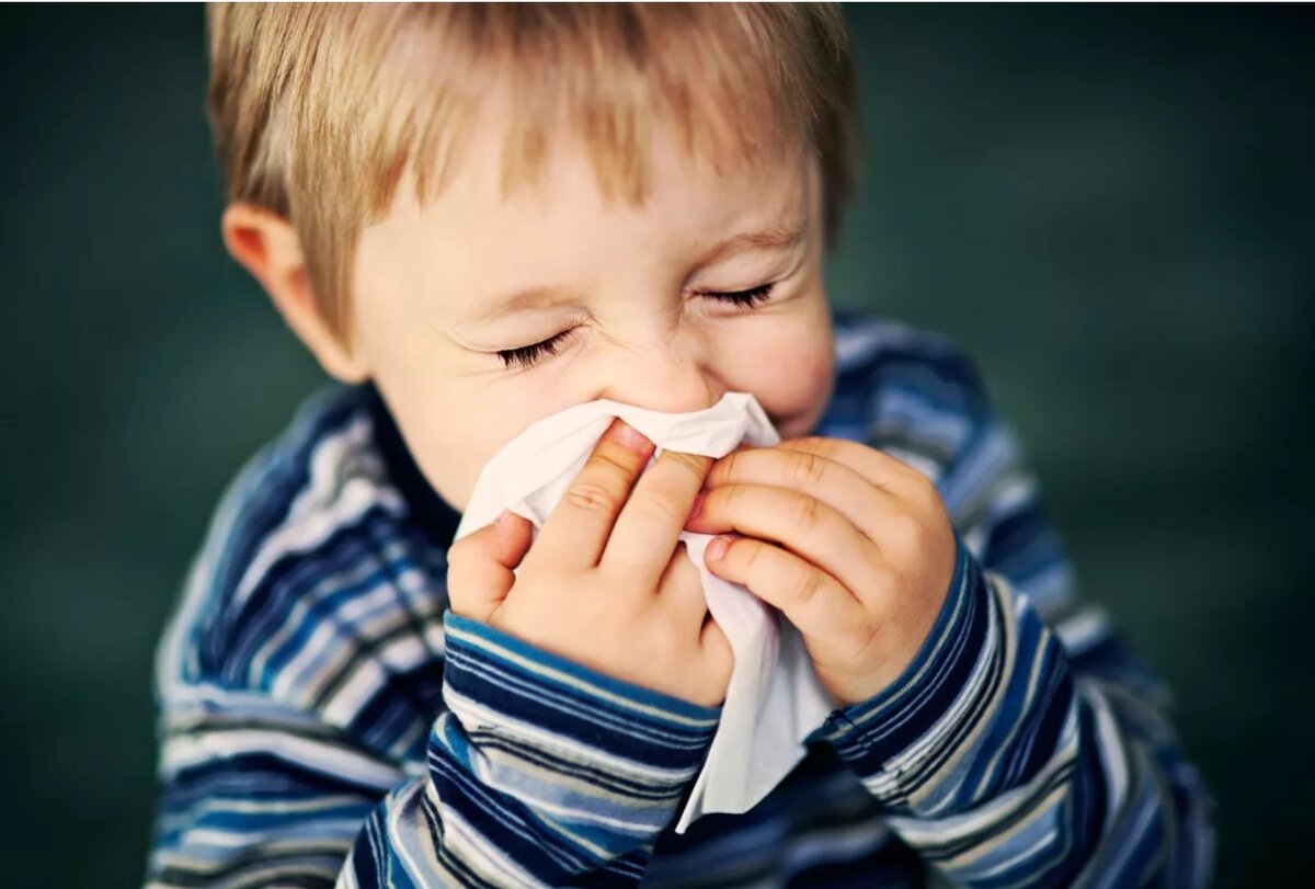 Фото взято в качестве иллюстрации у Яндекс-картинки 