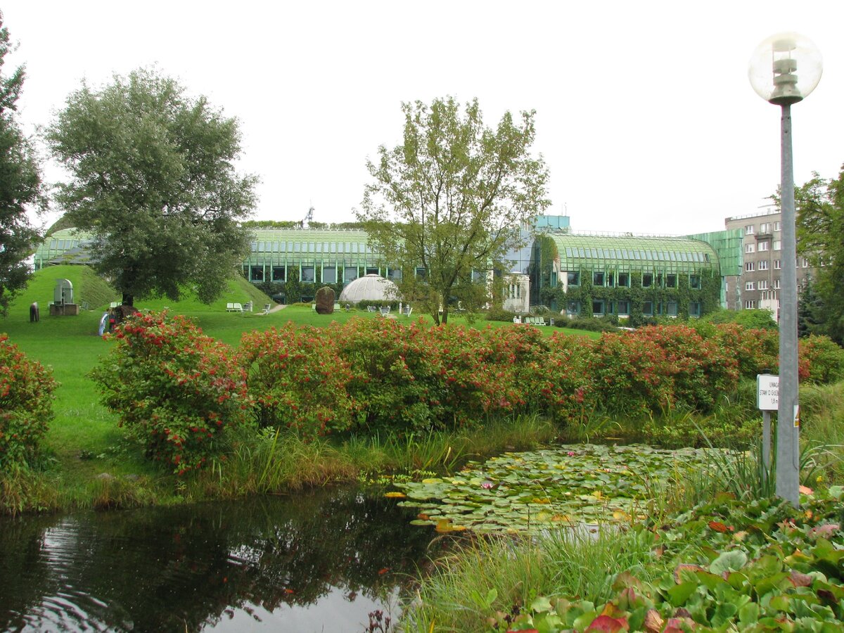 Пруд в саду библиотеки Варшавского университета. Польша, 2017г