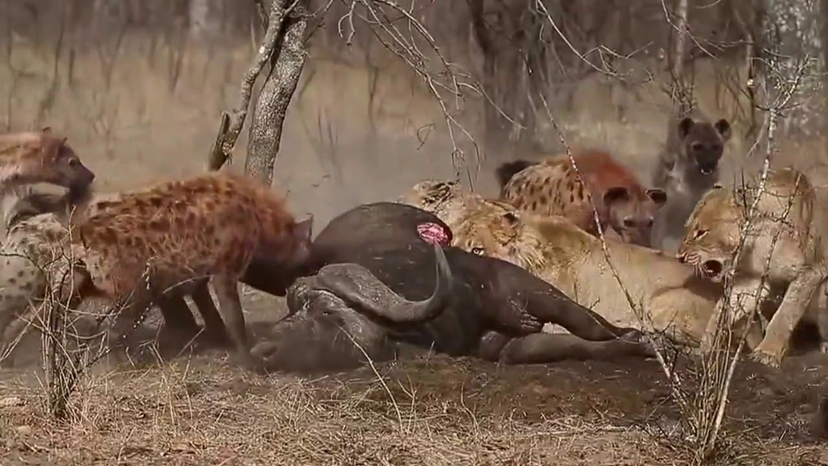 Фото в свободном доступе