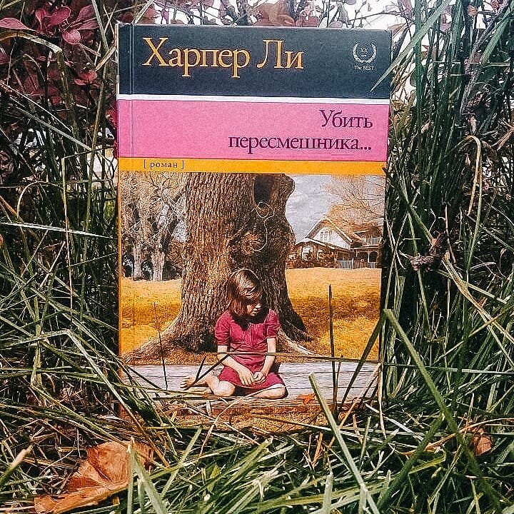 "Убить пересмешника"  Харпер Ли Фото из Инстаграма @knigoejki
