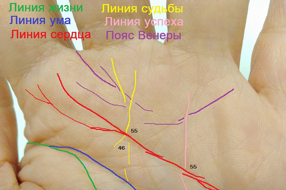 фанфик линии судьбы фото 116