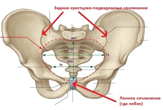 Источник: https://moydiagnos.ru