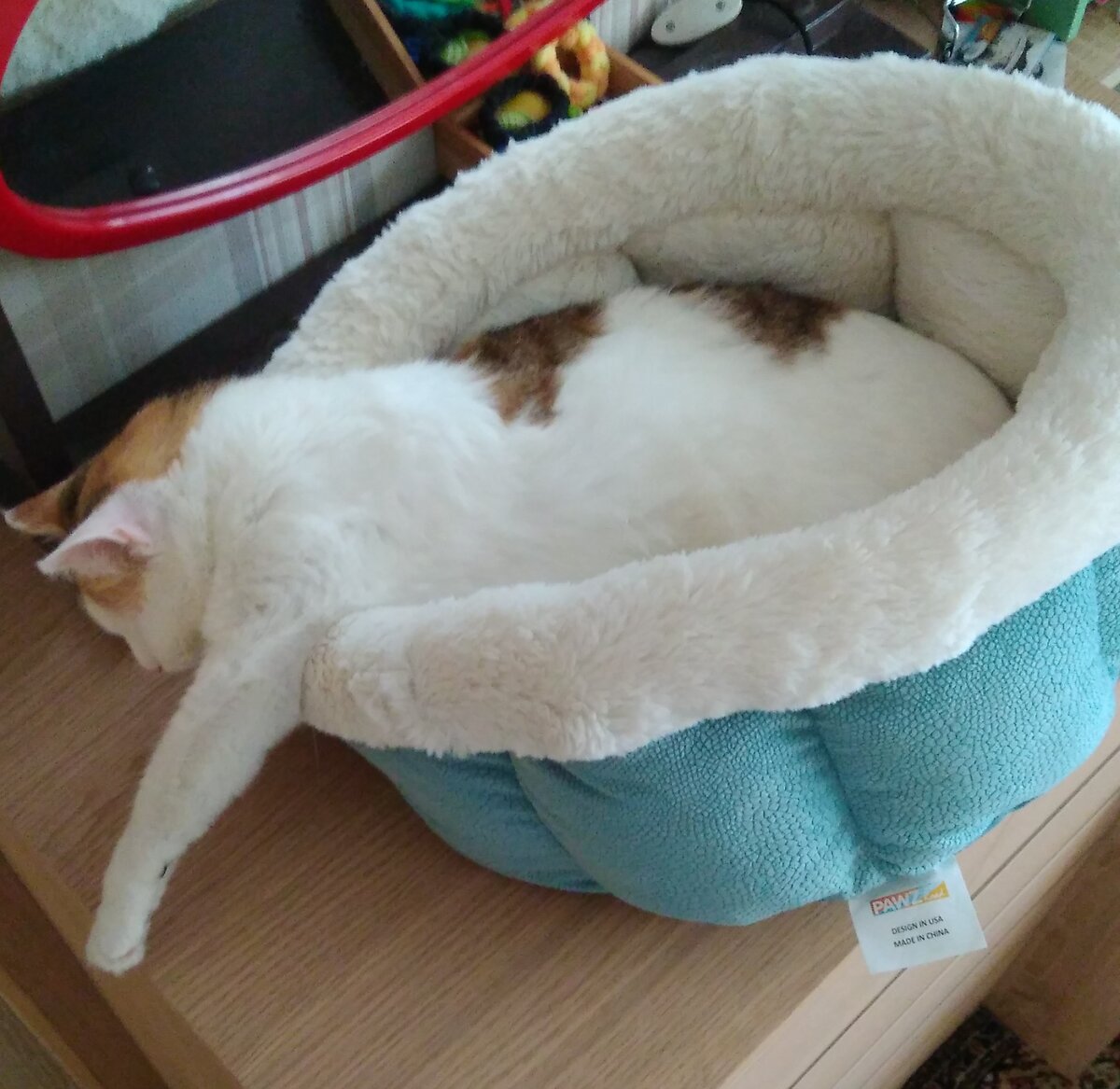 Галерея листается 